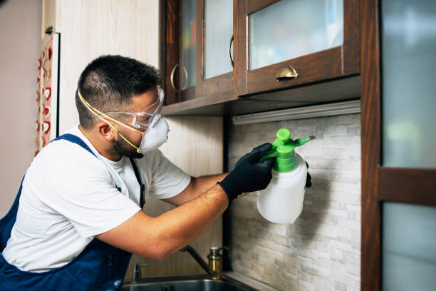 Best Local Pest Control Services  in West Point, MS