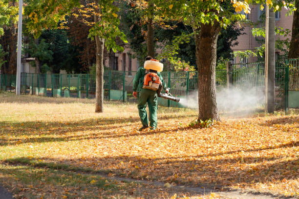 Best Emergency Pest Control  in West Point, MS